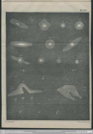Taf. VI, Fig. 23-42