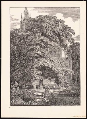 Baum mit Dom: Baum mit Dom (Versuch, die liebliche sehnsuchtsvolle Wehmut auszudrücken ...)