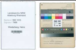 Entnazifizierung Heinz Westerberg , geb. 11.11.1907 (Kraftfahrzeugmeister)