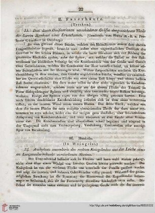 III: Muskeln (in Weingeist)