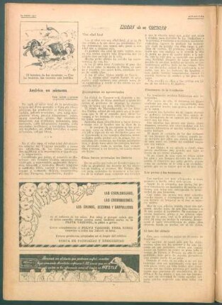 Notas de un curioso