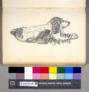 Der Cockerspaniel der Familie Schniewind