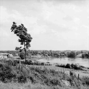 Moorteich: vorn Gestrüpp, Zaun und Wiese mit Baum: hinten links Häuser