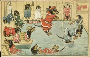 [Hunde beim Baden im Schwimmbad ]