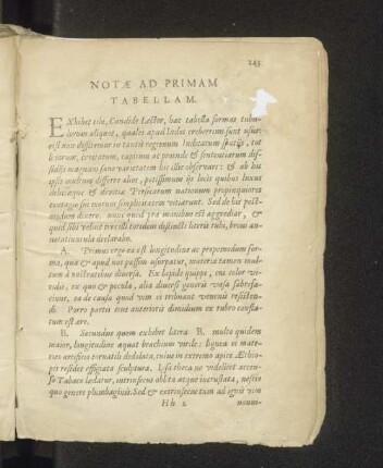 Notae ad primam tabellam.