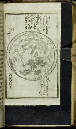Fig. XXXIV.
