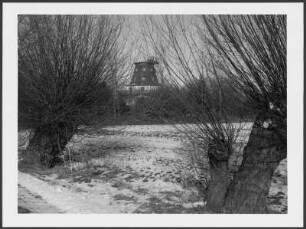 Blick auf die alte Windmühle von Gallin ohne Flügel im Winter, im Vordergrund kahle Weidenbäume auf schneebedeckter Wiese, signierter Barytabzug