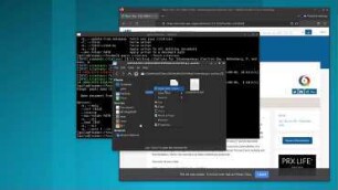 Papis: a simple, powerful and extendable command-line bibliography manager