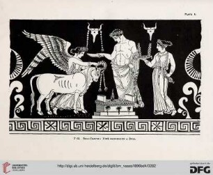 Plate I - XVI