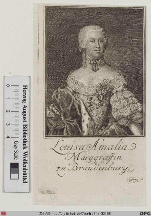 Bildnis Luise Amalie, Prinzessin von Preußen, geb. Prinzessin von Braunschweig-Bevern