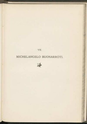 VII. Michelangelo Buonarroti.