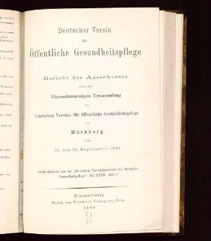 24: Nürnberg vom 13. - 15. September 1899
