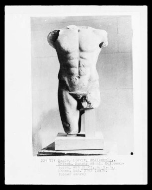 Männlicher Torso