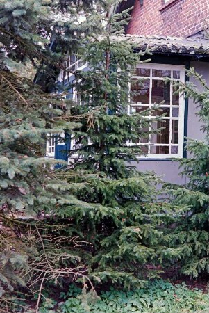 Allee 1: traufständiges Wohnhaus aus Backstein: Giebelseite, Teilansicht: Wintergarten [halb verdeckt]
