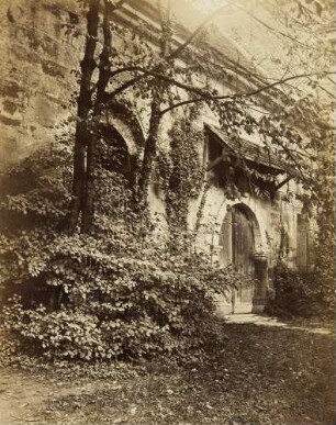 Seiteneingang am Schloss mit Bäumen