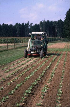 Fotografie: Gartenbautechnik-Freiland, Unkrautbekämpfung, Geräteträger