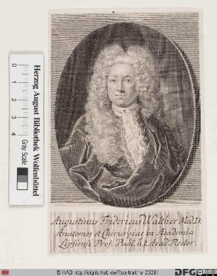 Bildnis Augustin Friedrich Walther
