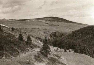 Erzgebirge. Hinterer Fichtelberg (Glimmerschiefer). Blick aus dem oberen Teil des Zechengrundes (Naturschutzgebiet)