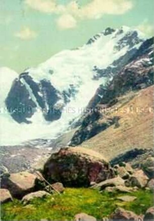 Ansicht des Piz Bernina