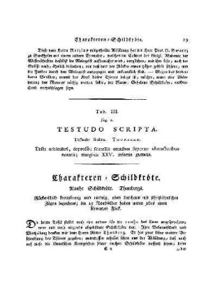 Tab. III. Fig. 2. Testuda Scripta : Charakteren-Schildkröte