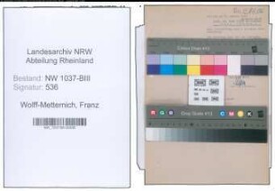 Entnazifizierung Franz Wolff-Metternich , geb. 31.12.1893 (Hochschullehrer)