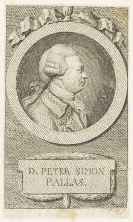 Bildnis des Peter Simon Pallas