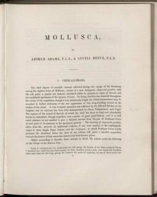 Mollusca.