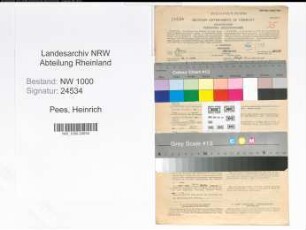 Entnazifizierung Heinrich Pees, geb. 10.05.1890 (Verm.Techniker)