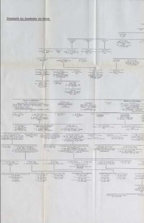 Stammtafel des Geschlechts von Dersch.