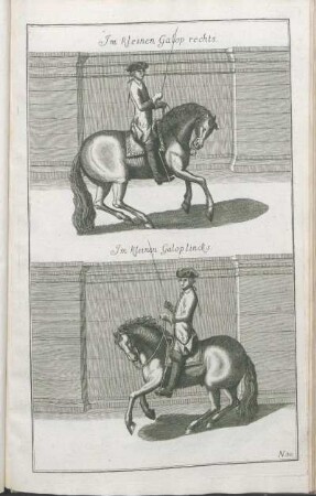 N. 30. Im Kleinen Galop rechts. Im kleinen Galop lincks.