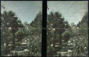 Blick in den Garten der Villa Gustavina