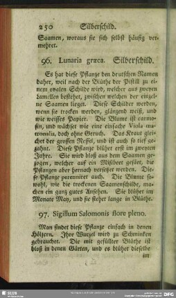 97. Sigillum Salomonis flore pleno