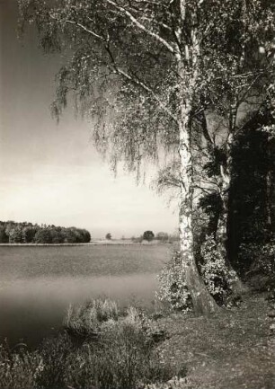 Moritzburg. Frauenteich