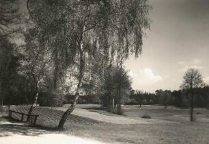 Moritzburger Teichgebiet. Landschaft mit Äckern und Birken