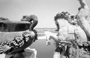 Schönbrunn: Schloss von der Gloriette, durch Brunnenfiguren