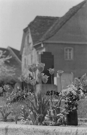 Grabbepflanzung mit Tulpen und ein Blumenstrauß in einer Vase