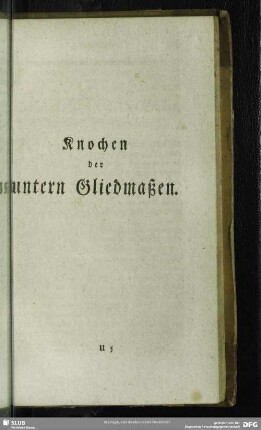 Knochen der untern Gliedmaßen