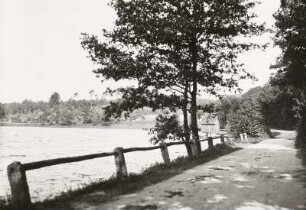 Moritzburger Teichlandschaft. Oberer Waldteich, Blick vom Damm nach Westen
