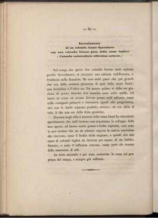 Inrociamento di un colombo...