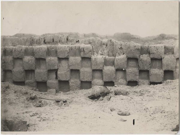 Wall decorations on the huacas of Chanchan