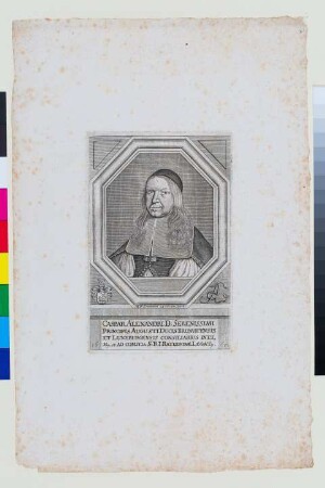 Porträt Caspar Alexandri