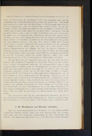 3. Die Hornfaser von Hircinia variabilis.
