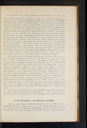 3. Die Hornfaser von Hircinia variabilis.