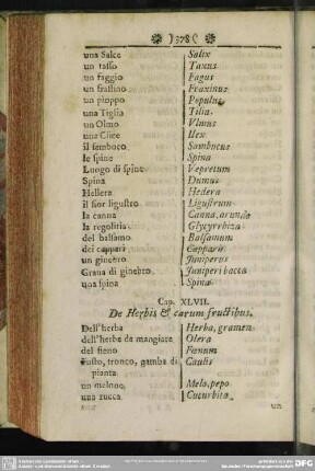 Cap. XLVII. De Herbis & earum fructibus