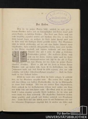 Der Rasen.