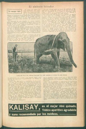 El elefante labrador : Un ensayo feliz