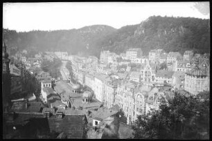 Karlsbad. Alte Wiese mit Hirschensprung