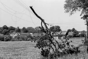 Deutsch-polnische Grenze, 1992. Zerstörte Oberleitung bei Murchin, Bezirk Anklam