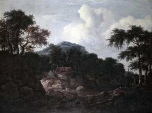 Waldlandschaft