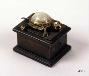 Schildkröte